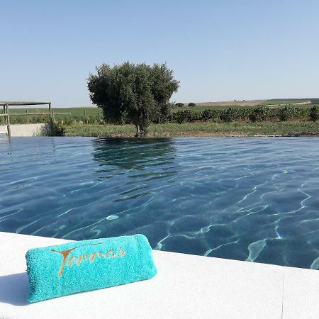 Terras - Agroturismo & Vinhos Μπέχα Εξωτερικό φωτογραφία