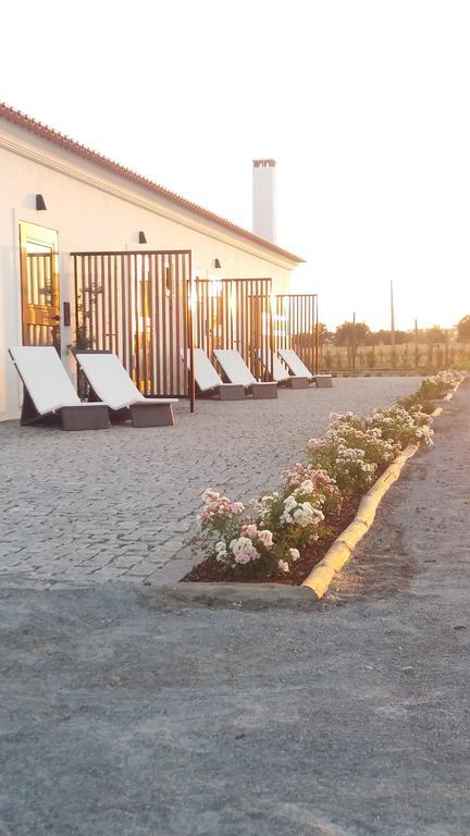 Terras - Agroturismo & Vinhos Μπέχα Εξωτερικό φωτογραφία