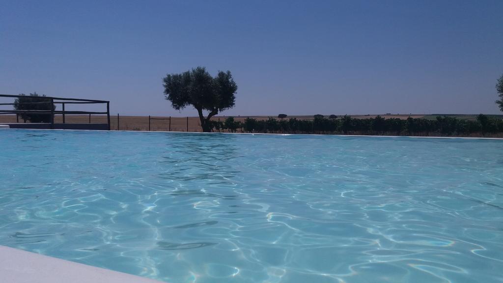 Terras - Agroturismo & Vinhos Μπέχα Εξωτερικό φωτογραφία