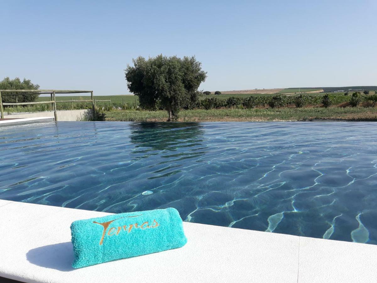 Terras - Agroturismo & Vinhos Μπέχα Εξωτερικό φωτογραφία