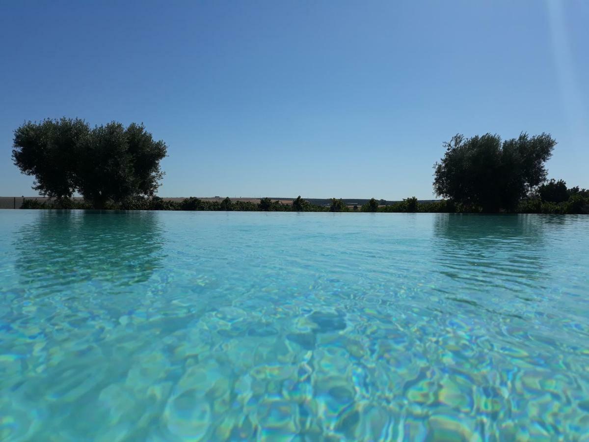 Terras - Agroturismo & Vinhos Μπέχα Εξωτερικό φωτογραφία